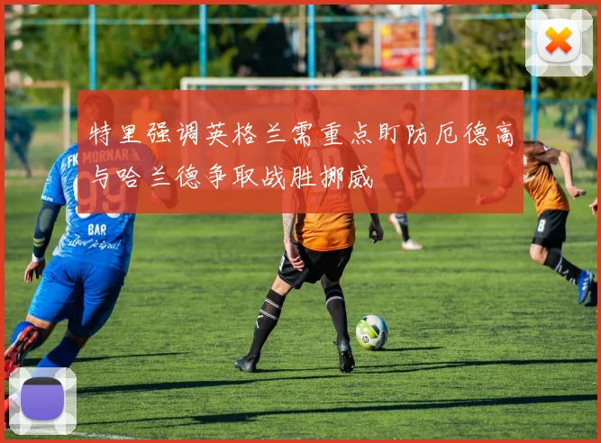 特里强调英格兰需重点盯防厄德高与哈兰德争取战胜挪威
