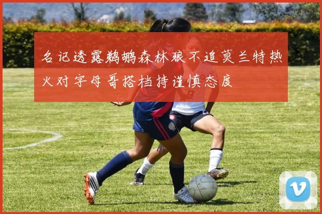 名记透露鹈鹕森林狼不追莫兰特热火对字母哥搭档持谨慎态度