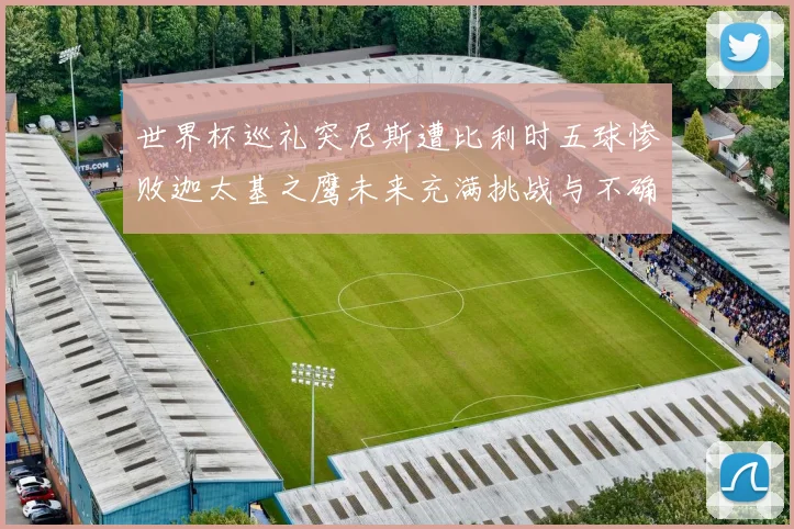 世界杯巡礼突尼斯遭比利时五球惨败迦太基之鹰未来充满挑战与不确定性